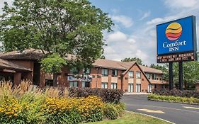 Comfort Inn